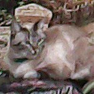 Meet your Posher, Nancy